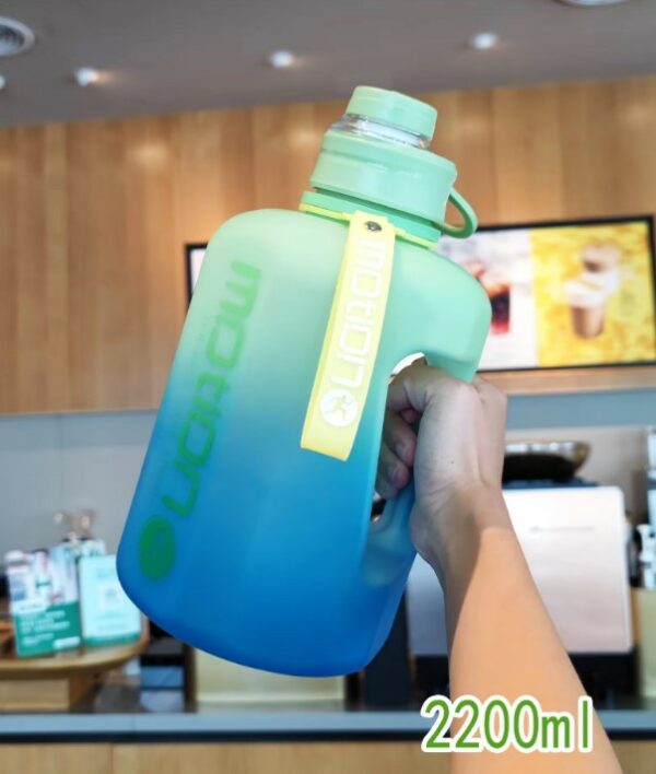 GOURDE 2 LITRE